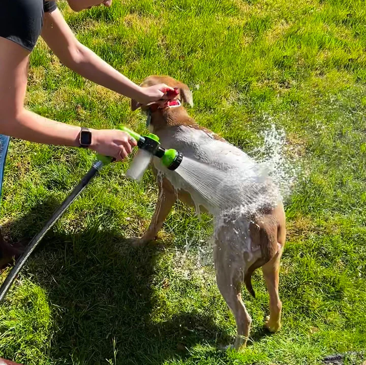 Wisdom Dog Toys Slow Leakage Feeding Training