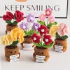 (Finished Product)Crochet Flower Potted Doll with Positive Card Desktop Ornaments, Potted Plants, Bouquets Gift Home Decor