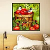 Diamond Painting -DIY Round Drill Fruits Birds