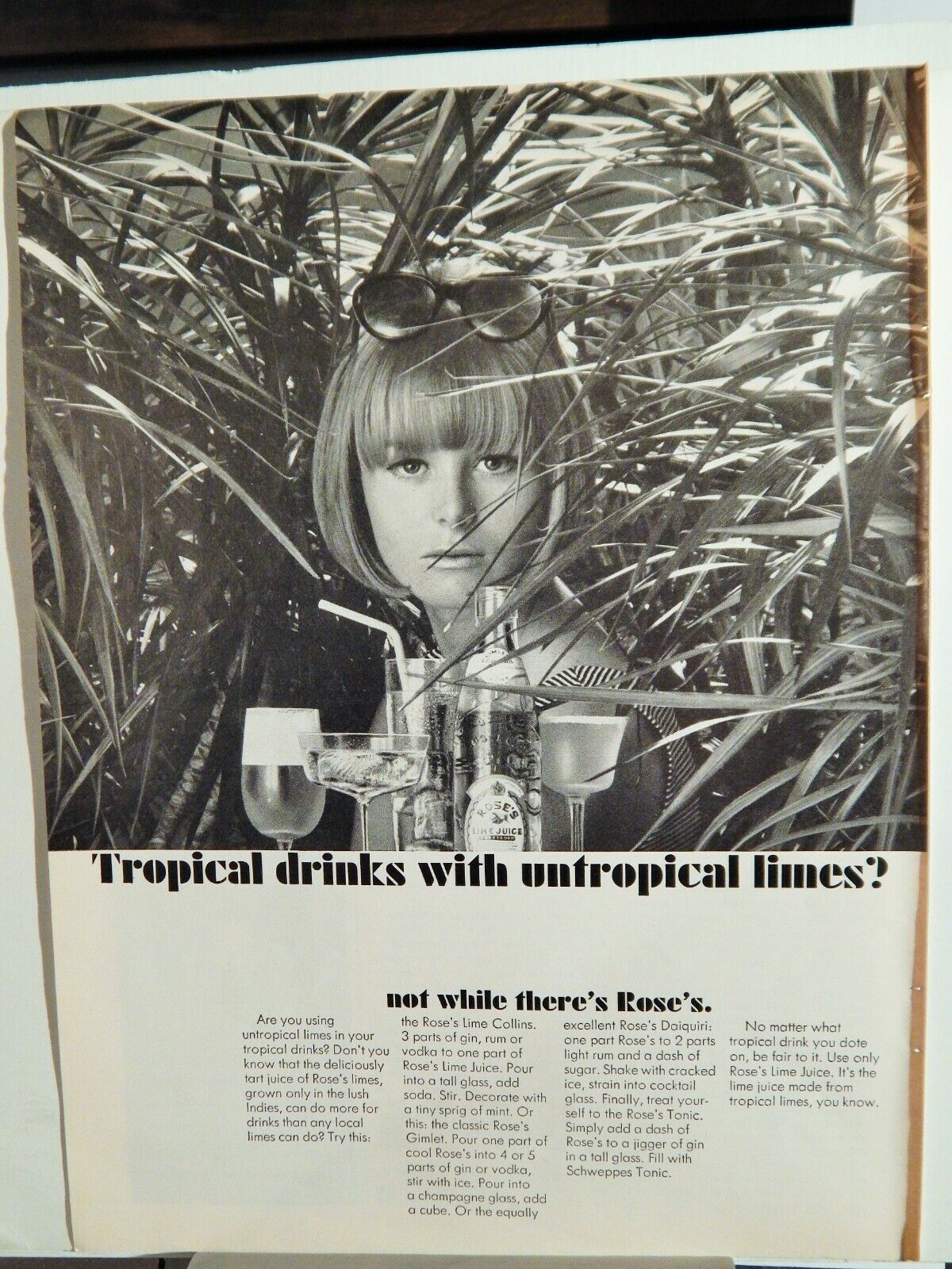 ROSE'S LIME JUICE / BLACK WATCH MENS FRAGRANCE 1964 VTG Photo Poster painting AD, RARE EPHEMERA