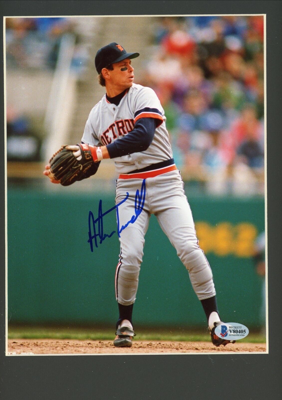 Alan Trammell Detroit Tigers Signed Autographed 8x10 Glossy Photo Poster painting Matted Beckett