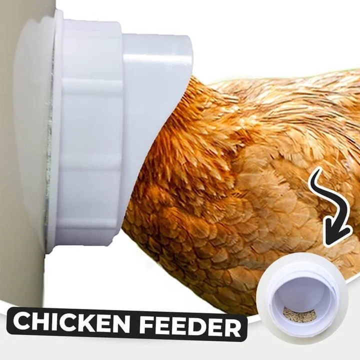 NEW YEAR SALE✨DIY Chicken Feeder