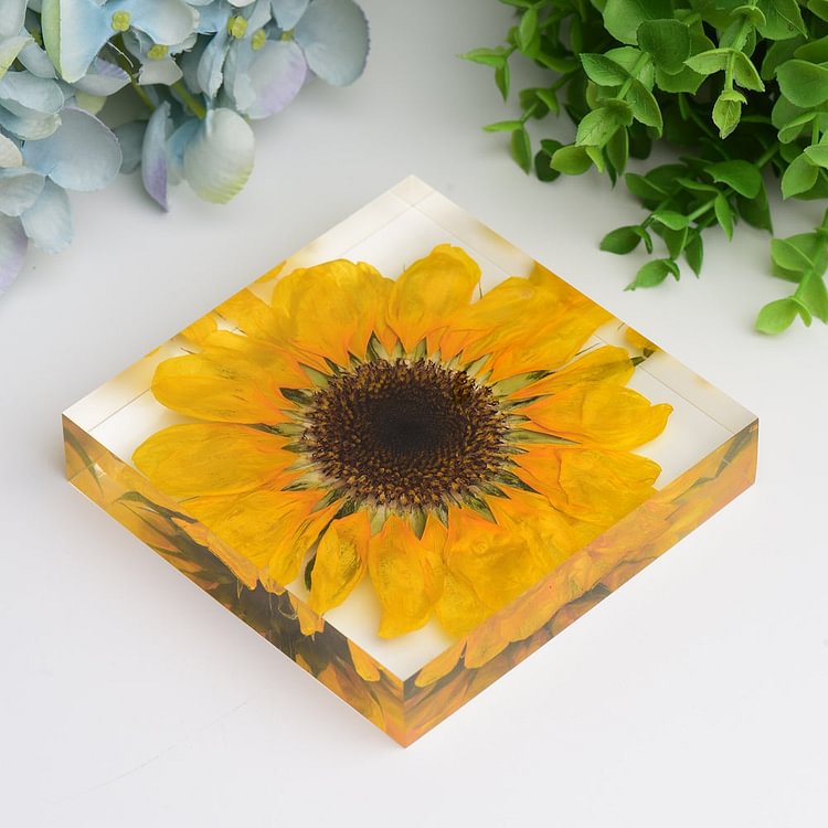4.6" Square Resin with Sun Flower Free Form for Home Decor