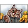 Lazy cat | Full Round Diamond Painting Kits