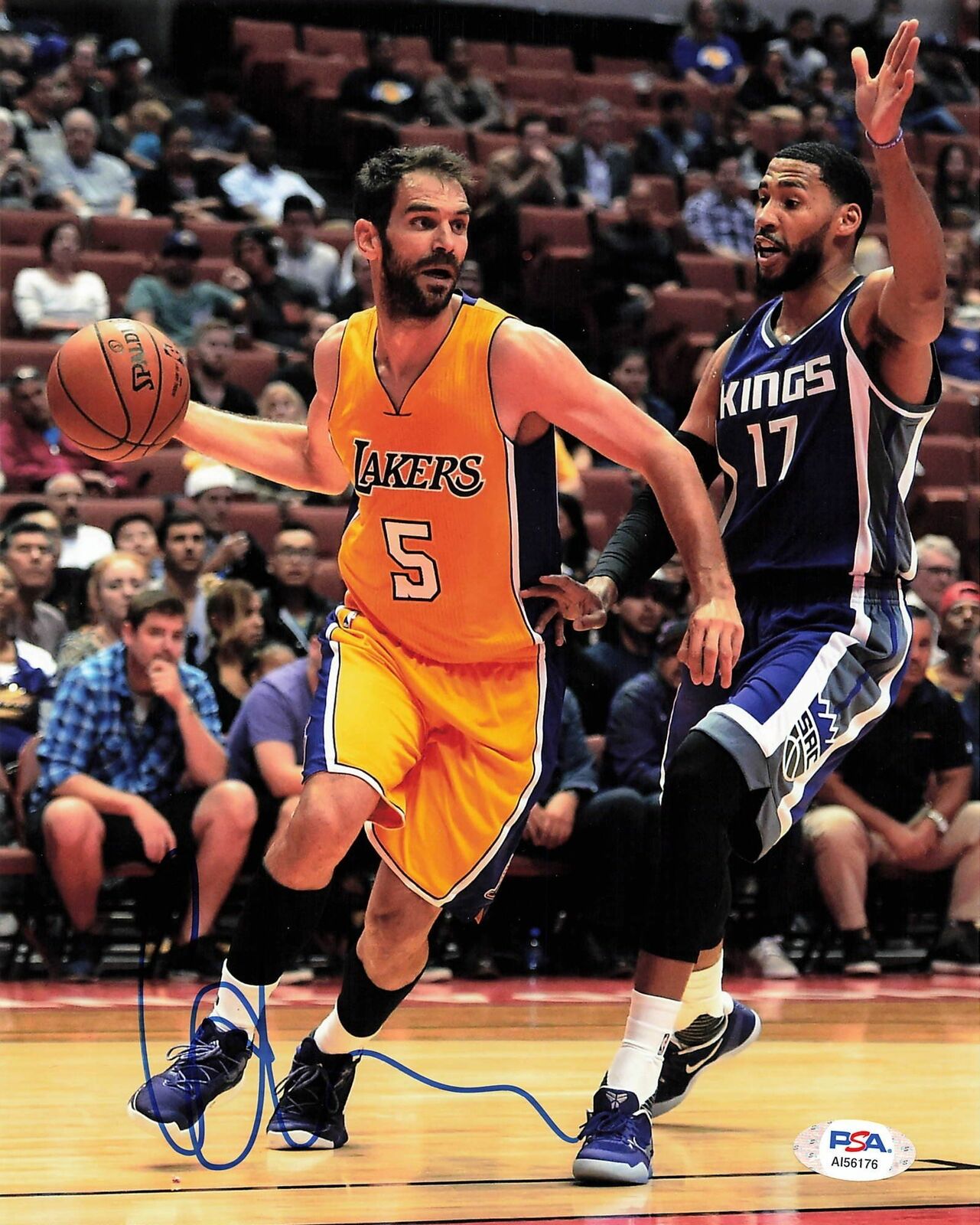 Jose Calderon signed 8x10 Photo Poster painting PSA/DNA Los Angeles Lakers Autographed