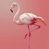 Elegant Flamingo Calm - Diamond Painting