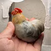 A plump, round rooster hand-carved from natural Shoushan stone, showcasing the natural colors and textures of the stone