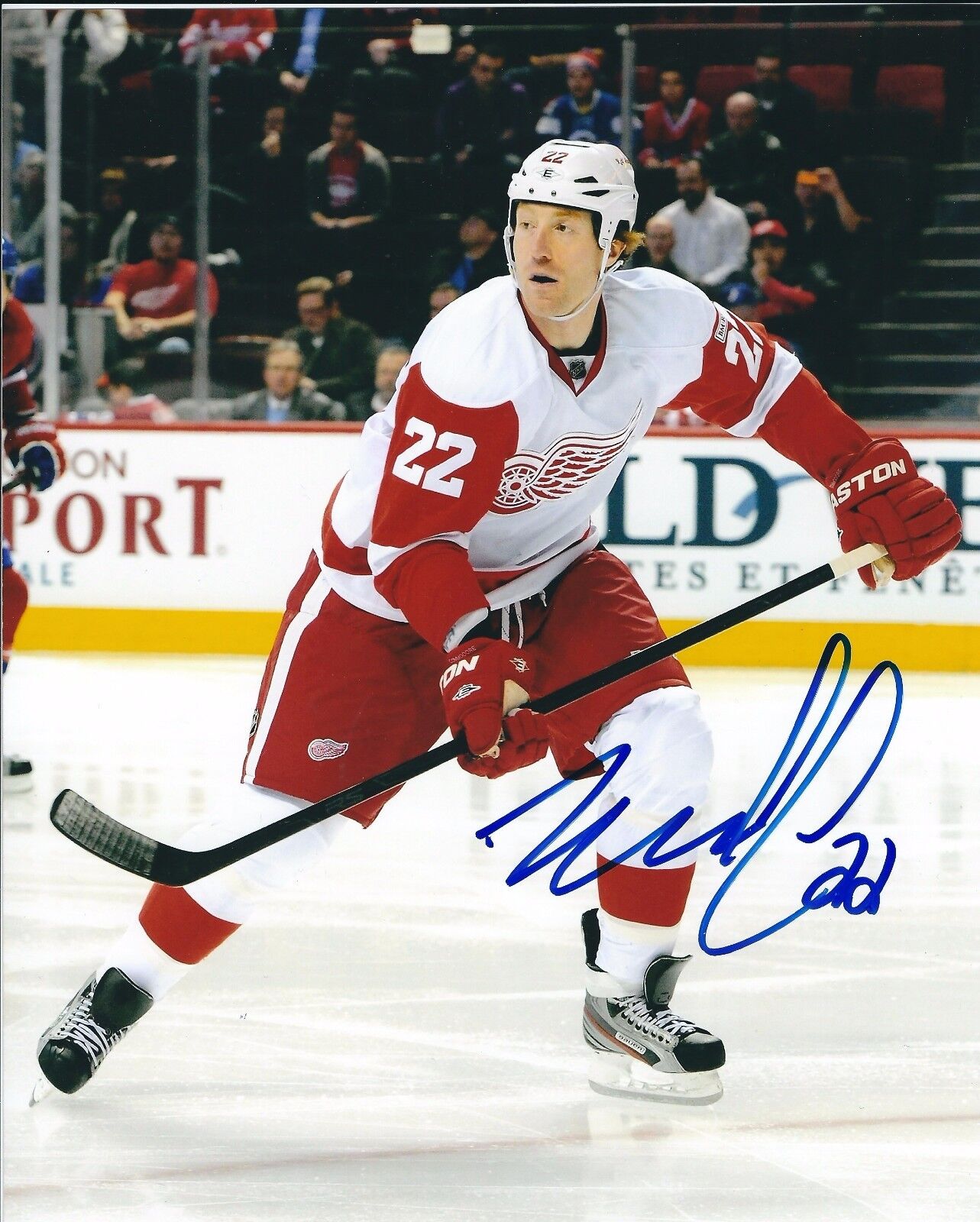 Autographed MIKE COMMODORE Detroit Red Wings 8x10 Photo Poster painting - COA