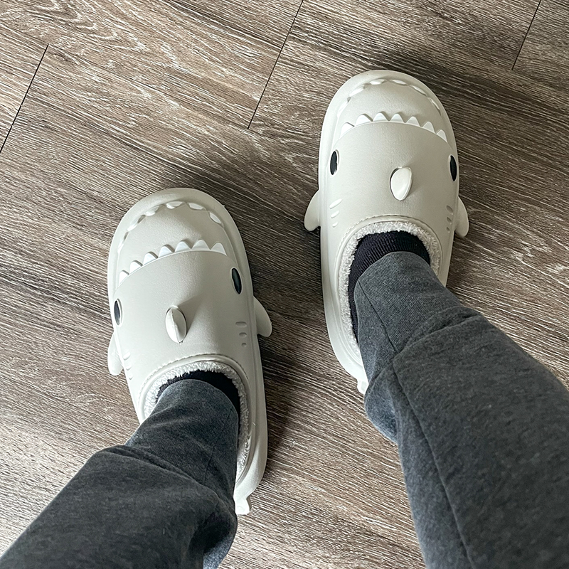 the cloud sharks winter