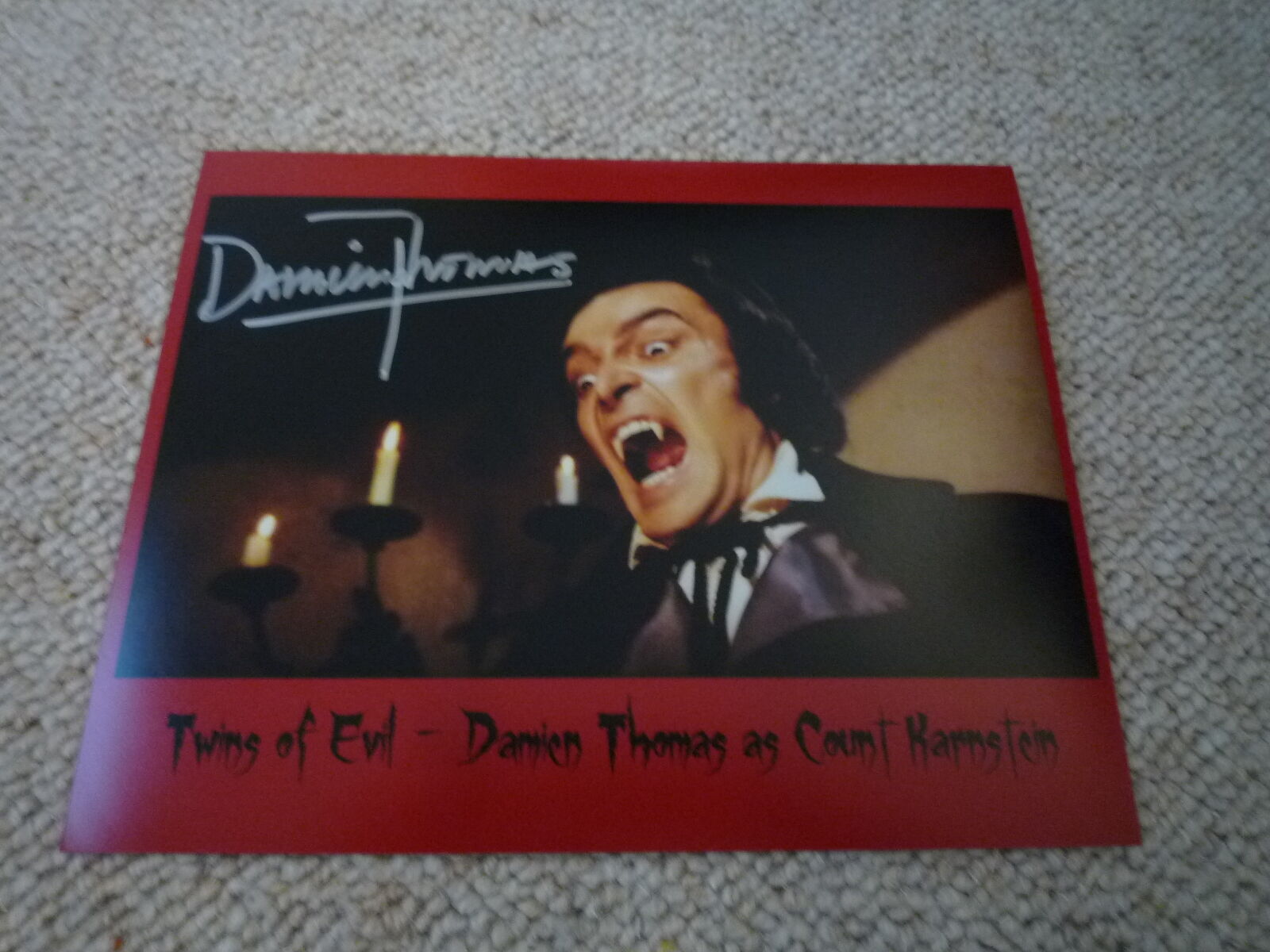 DAMIEN THOMAS signed autograph 8x10 20x25 cm TWINS OF EVIL