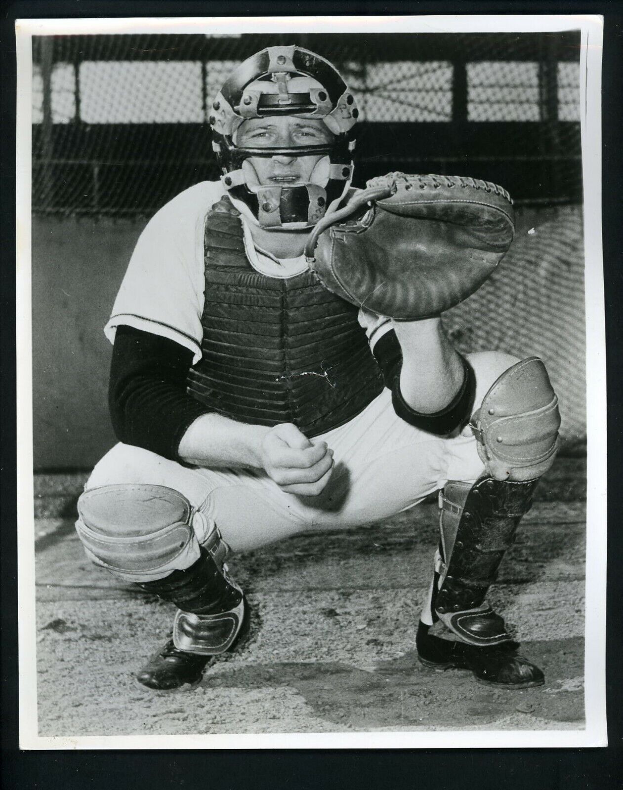 Bob Schmidt in catching pose 1958 Press Original Photo Poster painting San Francisco Giants