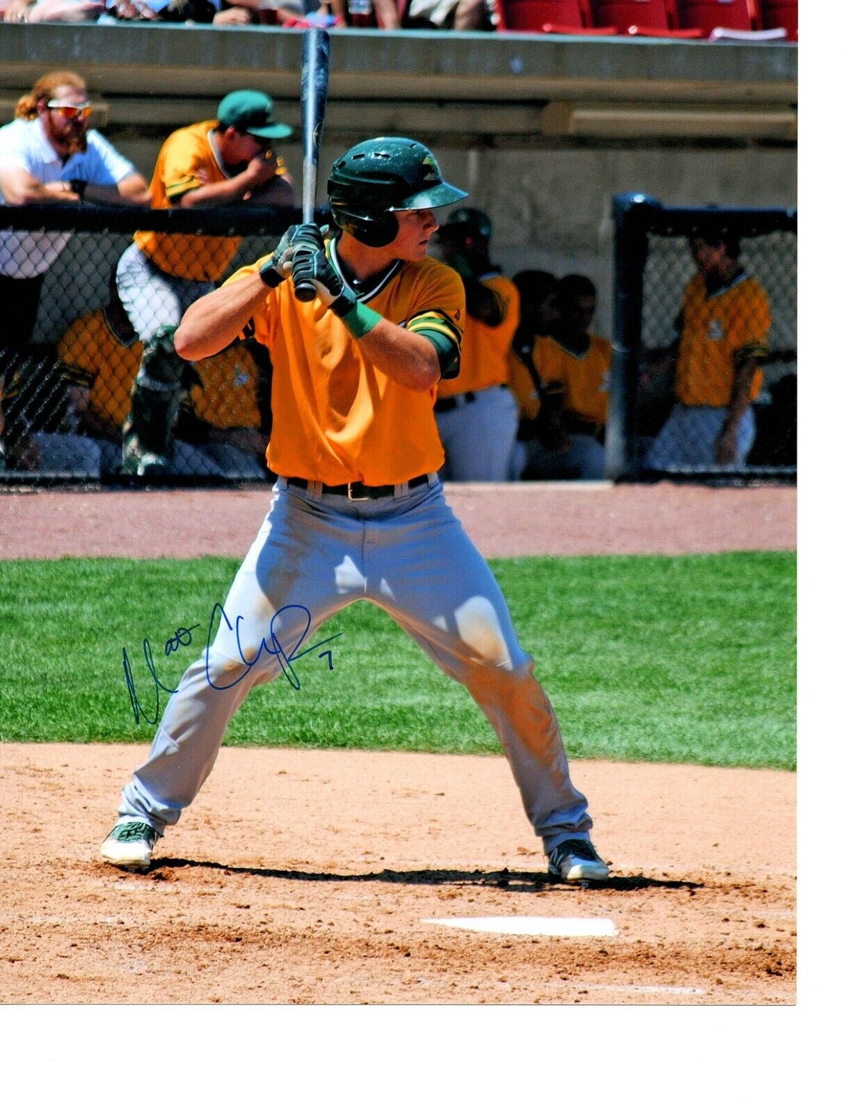 Matt Chapman Oakland A's top prospect hand signed auto 8x10 Photo Poster painting Beloit b