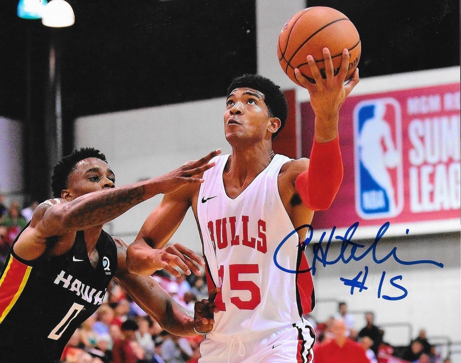 Chandler Hutchison signed Chicago Bulls 8x10 Photo Poster painting autographed 2