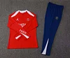 2025/2026 Psg Paris Saint-Germain Half-Pull Training Suit Red  Football Shirt 1:1 Thai Quality Set