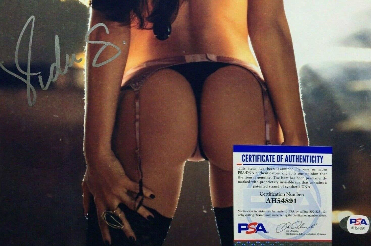 Vida Guerra Signed TV - FHM Model and Music Videos 11x14 Photo Poster painting PSA DNA # AH54891