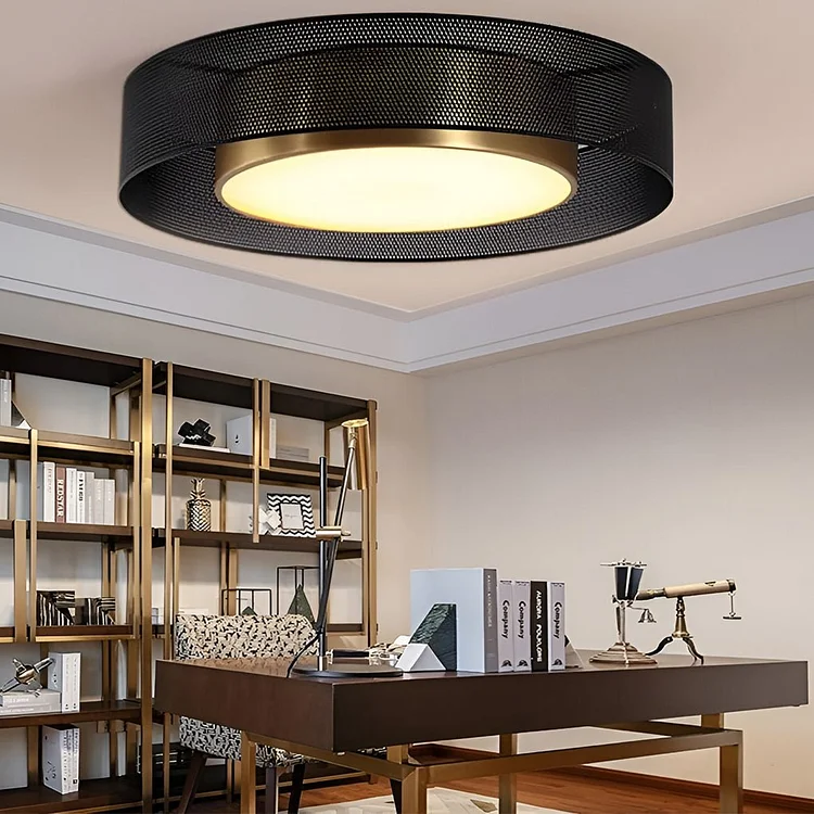 Nordic Round Dimmable LED Ceiling Lights Flush Mount Lighting with Remote Control - Appledas