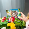 12Pcs Diamond Painting Cats and Dogs Greeting Card Set with Envelope