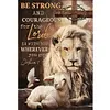 Lion-11CT Stamped Cross Stitch 40*60cm/15.75*23.62in(Big Size)