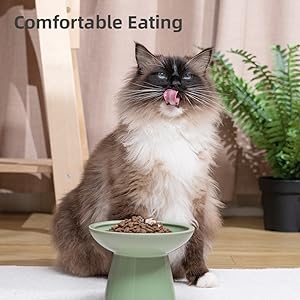 Comfortable Eating