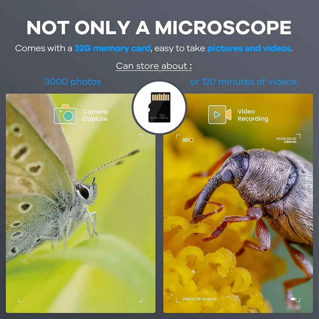 Kids Microscope 1000X with 4K Screen, Portable Science Kit with Slides for Kids Ages 4-12, Rechargeable Digital Handheld Pocket Microscope (Green)