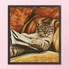 (US Only)Cat Stamped Cross Stitch Kit for Beginner Home DIY 14CT Embroidery Kit 44x50cm