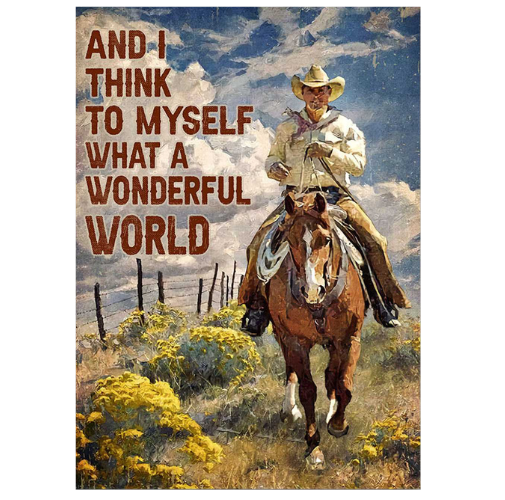 【20*30cm/30*40cm】Cowboy - Vintage Tin Signs/Wooden Signs