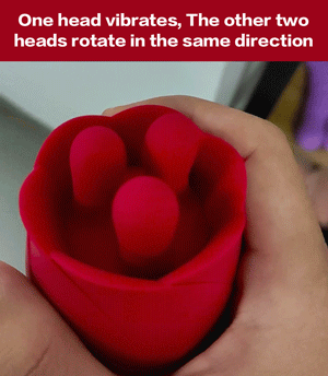 Rose G Spot Clitoral Tongue Vibrator For Women