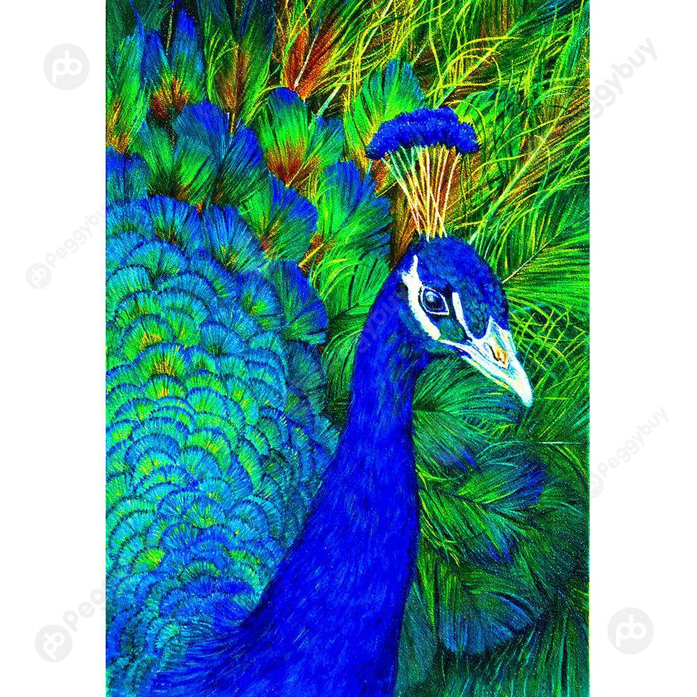 

1000pcs DIY Peafowl Spread its Tail Puzzle Learning Assembling Jigsaw Toys, 501 Original