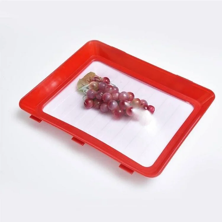 Buy 3 Get 2 Free Today - Environmentally friendly design - Reusable Food Preserving Tray