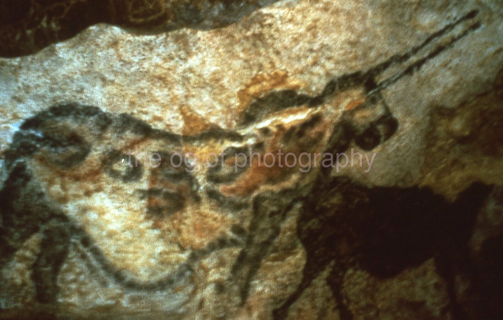 CAVE Art PREHISTORIC France DORDOGNE 35mm FOUND SLIDE Photo Poster painting 011 T 6 B