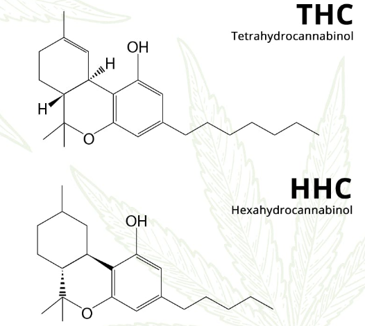 What Is HHC And How Does It Compare To THC?