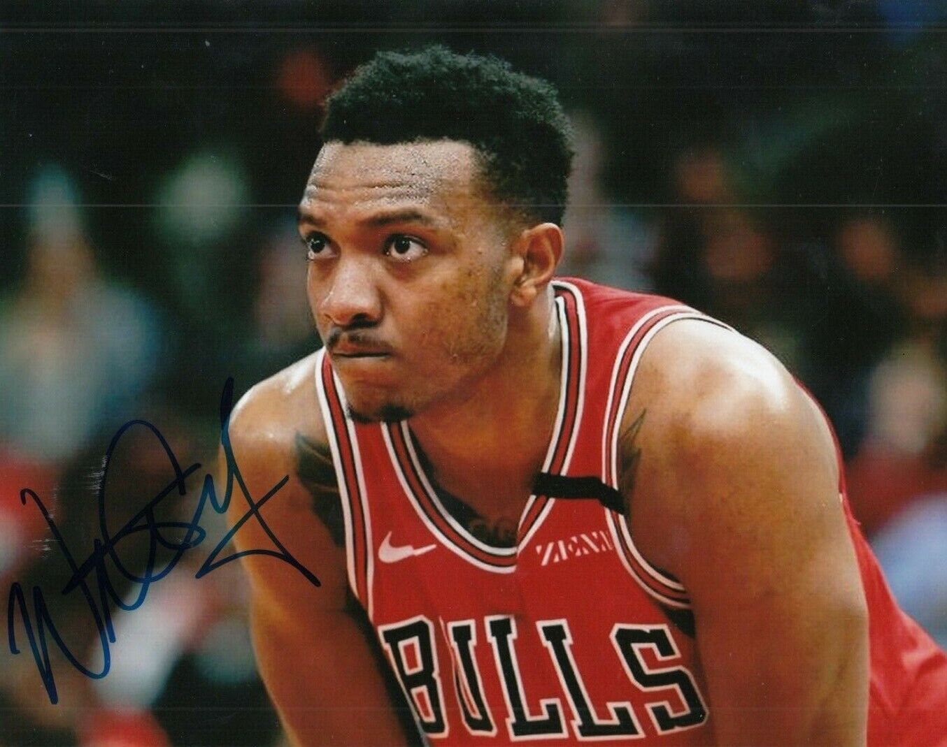 WENDELL CARTER JR signed (CHICAGO BULLS) autograph BASKETBALL 8X10 Photo Poster painting W/COA