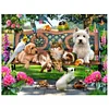 Animal Park-Partial Round Diamond Painting