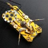Mobile phone metal armor case Handmade gear shockproof skull gold case Support all IPHONE models
