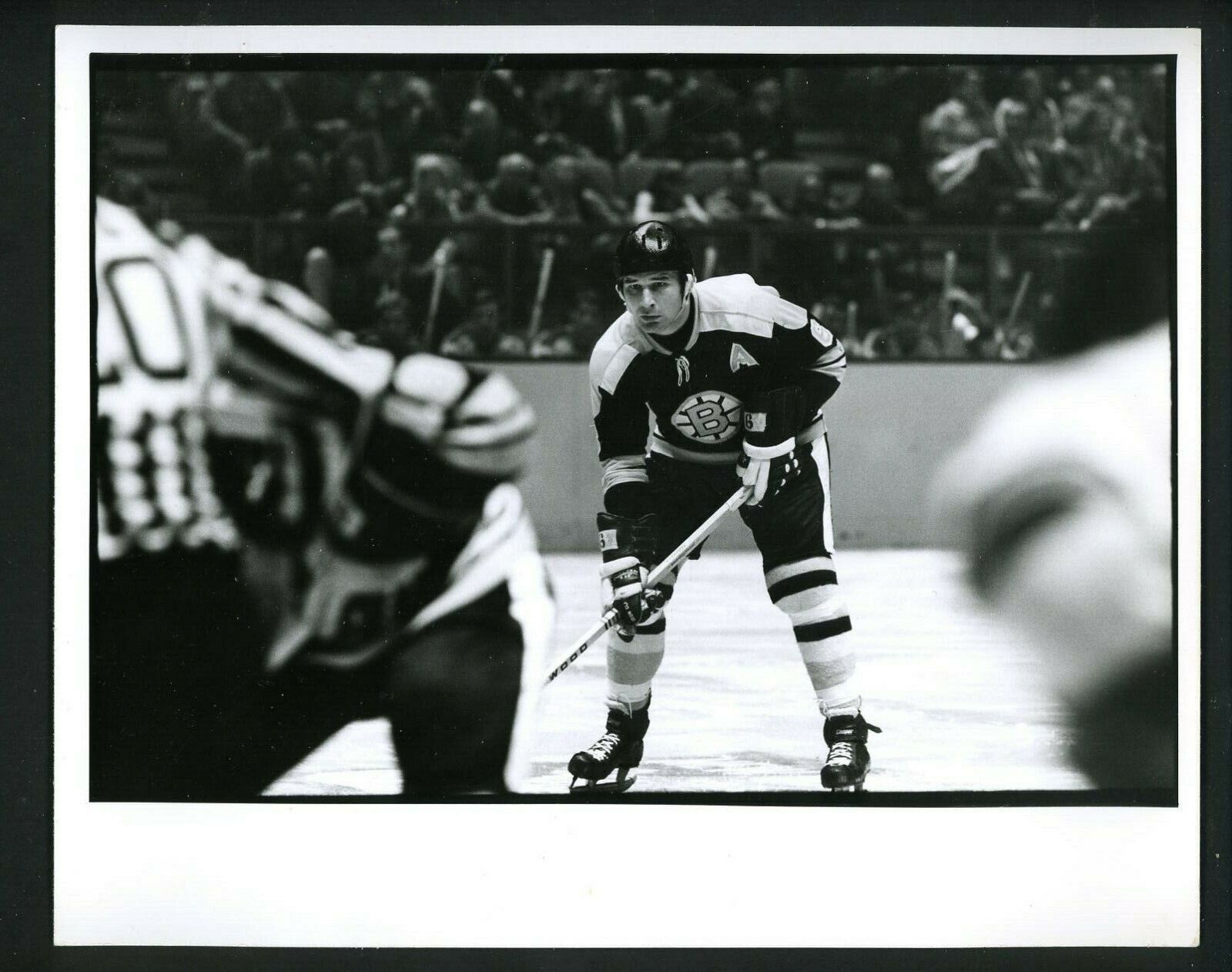 Ted Green waiting for face-off 1970's Press Original Photo Poster painting Boston Bruins