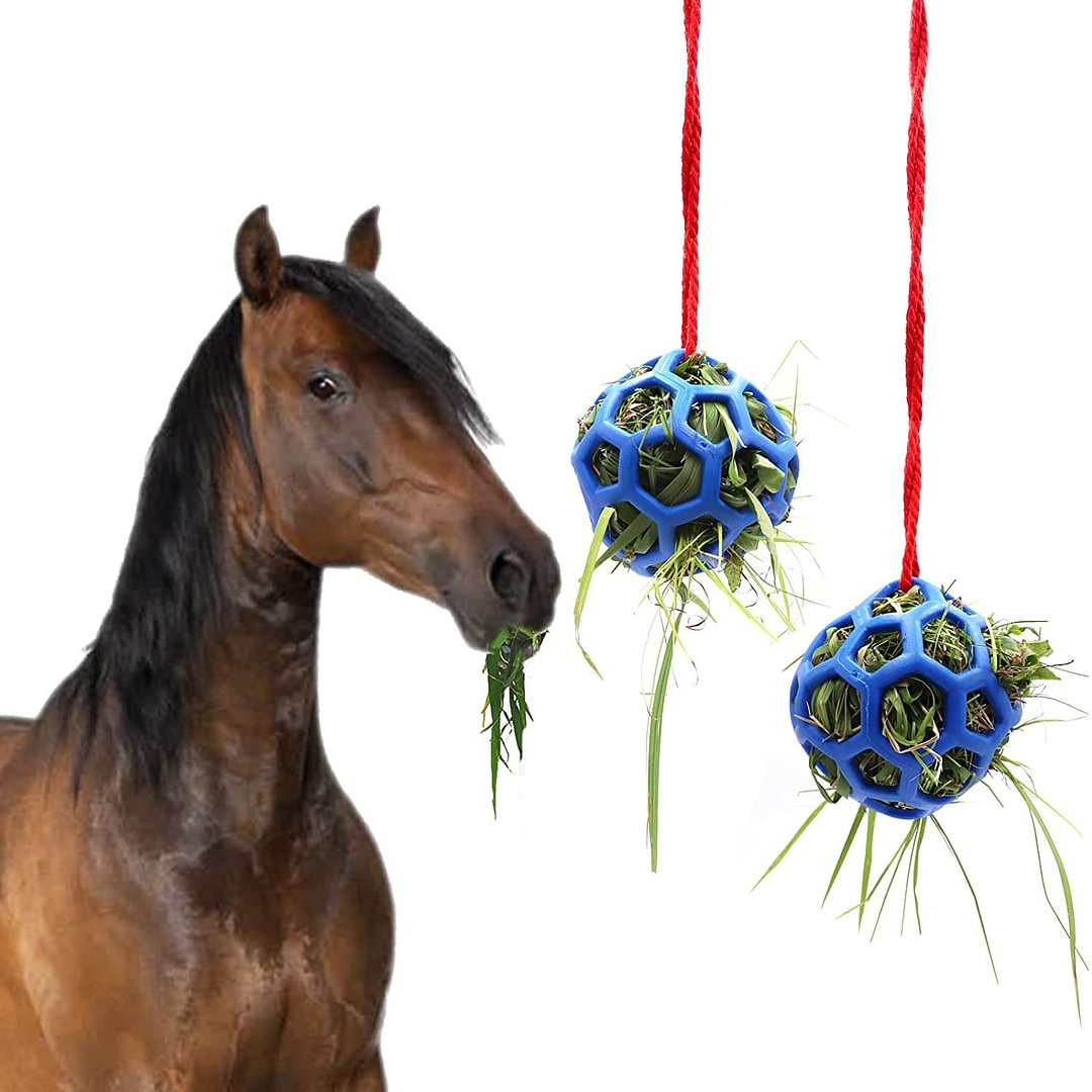 Horse Feeder Ball