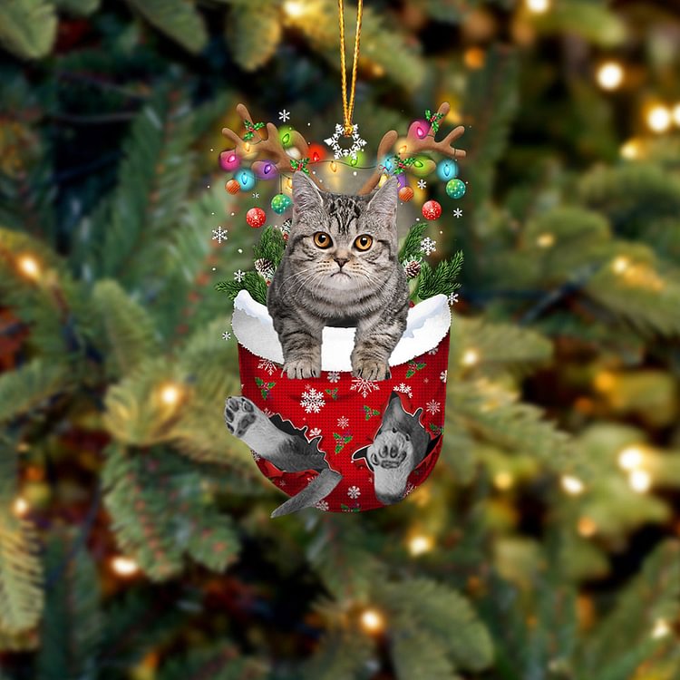 Cat 9 In Snow Pocket Christmas Ornament