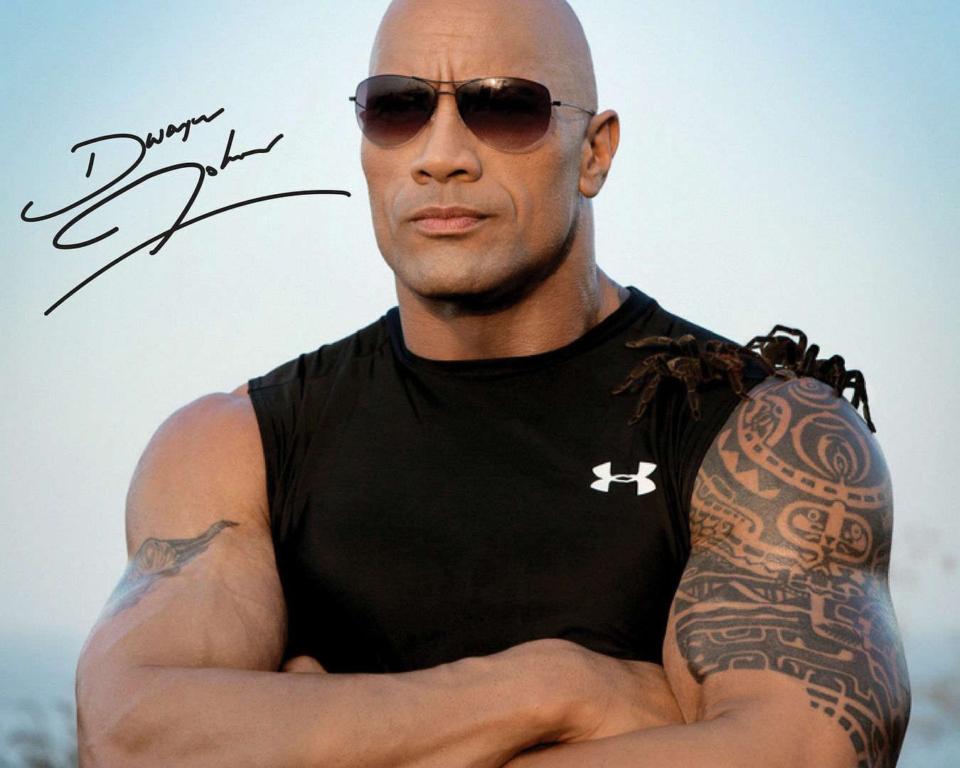 Dwayne Johnson - The Rock Autograph Signed Photo Poster painting Print 3