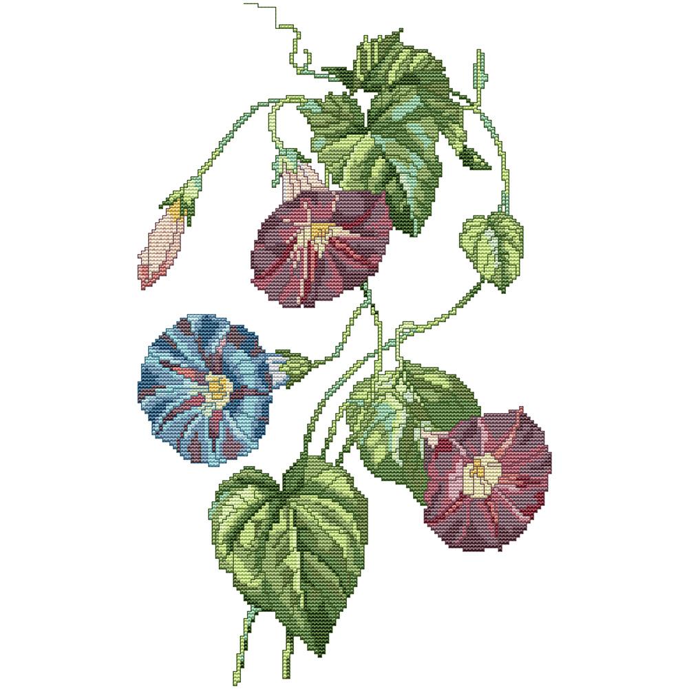 

29*43CM - 14CT Stamped Cross Stitch - Morning Glory, 501 Original