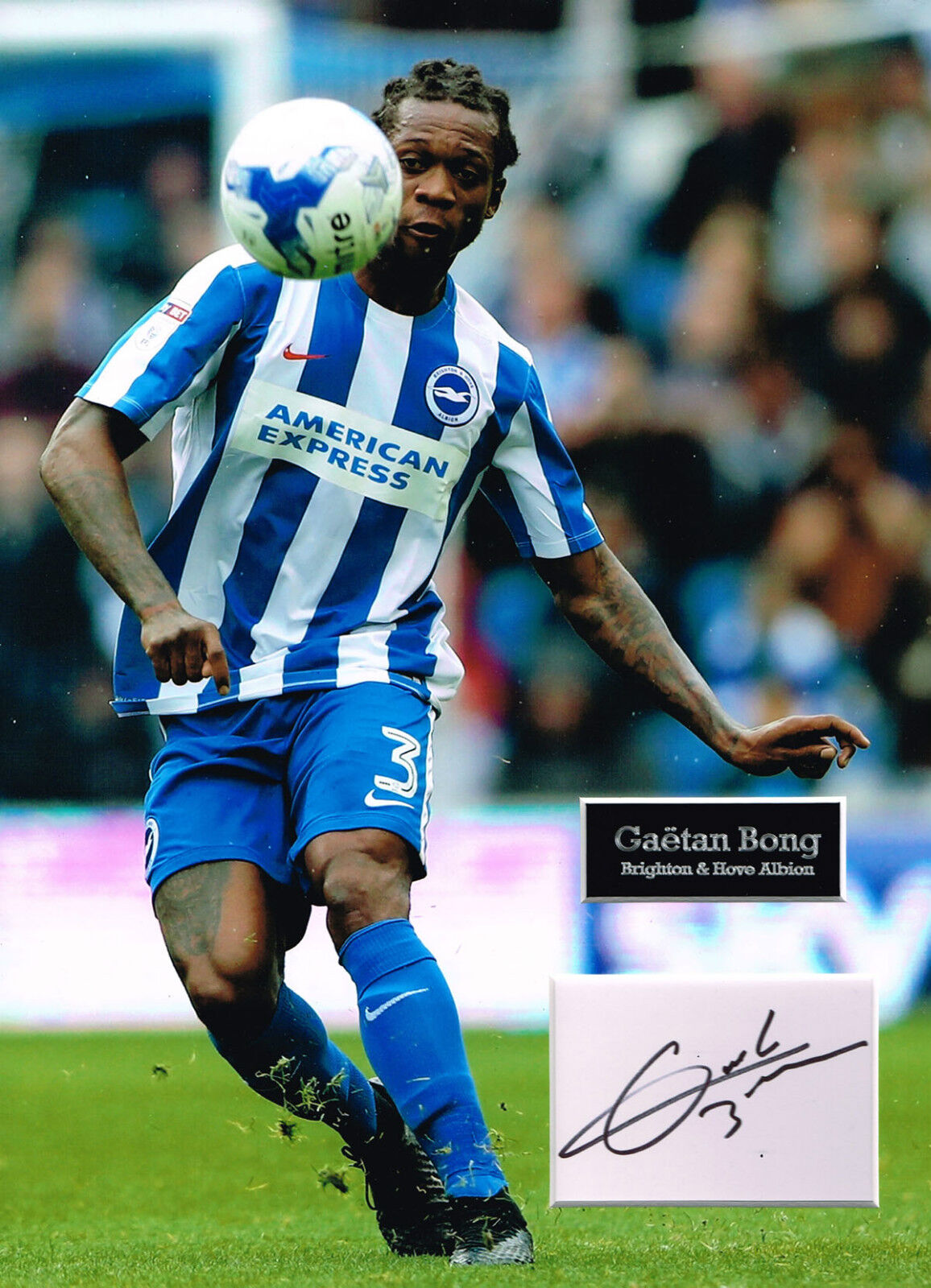 Gaetan BONG SIGNED Autograph 16x12 Photo Poster painting Mount AFTAL COA Brighton & Hove Albion