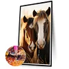 (40*70cm)Horse - Full Round Drill Diamond Painting