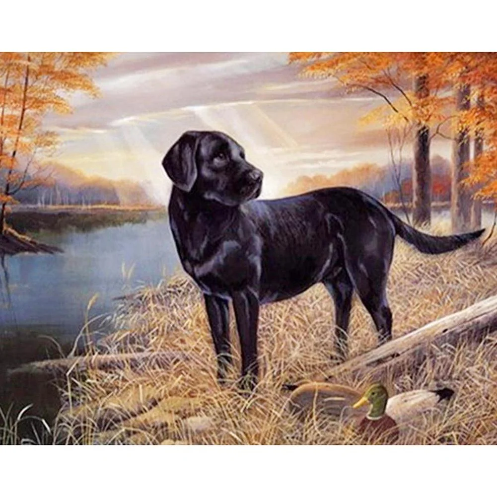 Full Round Diamond Painting Dog (40*30cm)