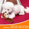 Squeaky Dog Toys, Soft Stuffed Plush Balls with Squeakers, Interactive Fetch Play for Puppy Small Medium Pets