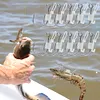 10pcs Luminous Live Shrimp Fixing Hook Metal Barbed Fishhook Live Shrimp Hooks