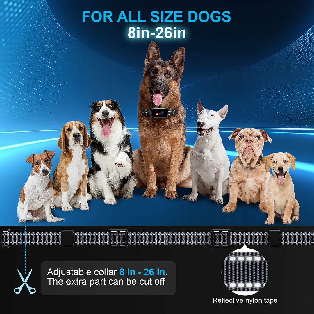 BEBANG Dog Training Collar, 2 Dog Shock Collar with 3 Training Modes, Rechargeable Waterproof Electric Dog Collar for Small to large Dogs, Security Lock