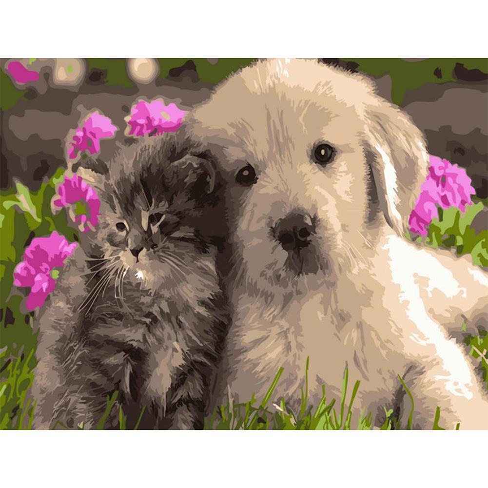 

40x50cm - Paint By Numbers Dog Cat, 501 Original