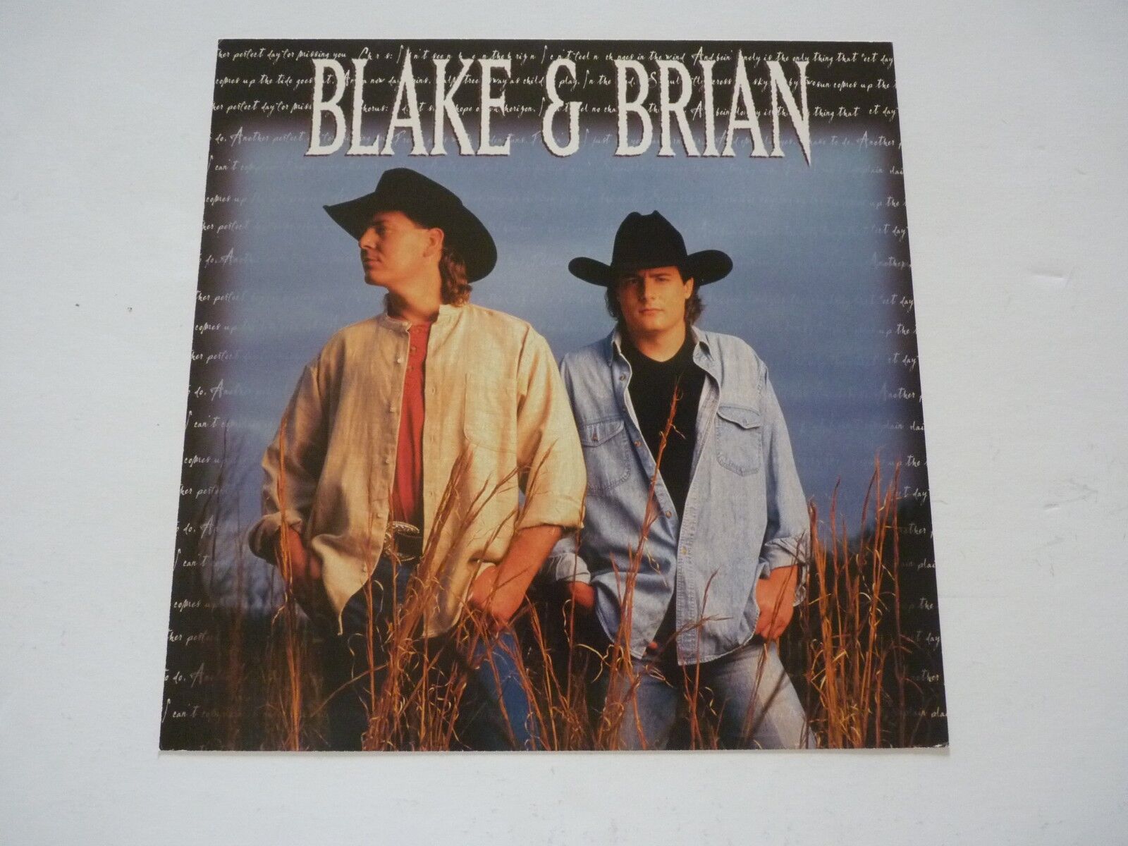 Blake & Brian 1997 Promo LP Record Photo Poster painting Flat 12x12 Poster