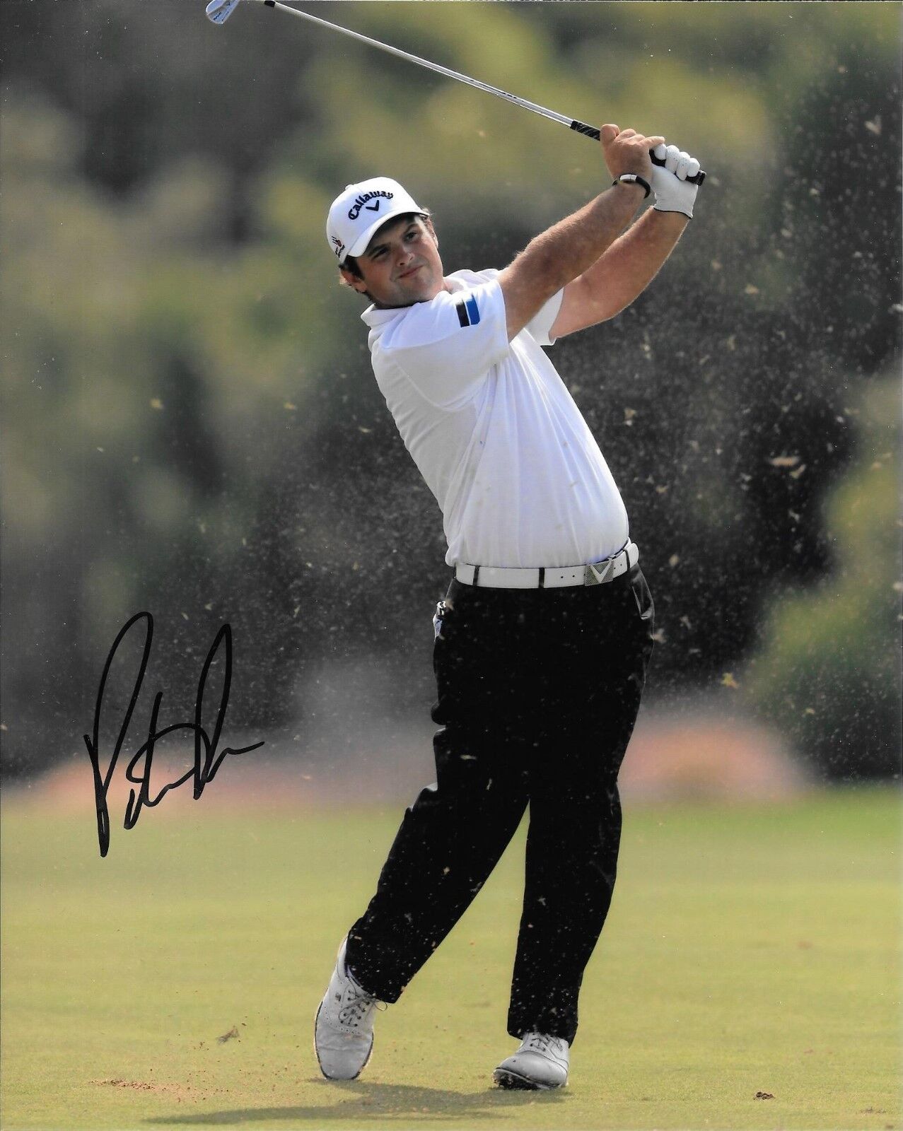 LSU TIGERS PATRICK REED HAND SIGNED PGA GOLF 8X10 Photo Poster painting W/COA