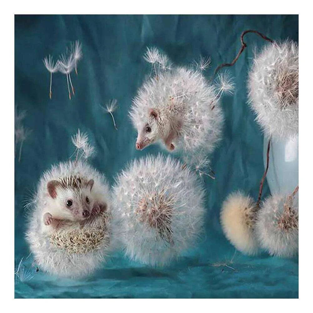 Full Round Diamond Painting Dandelion Hedgehog (30*30cm)