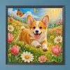 Diamond Painting -5D Full Round Drill Pembroke Welsh Corgi Puppy(40x40cm)